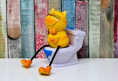 תה לשלשולים